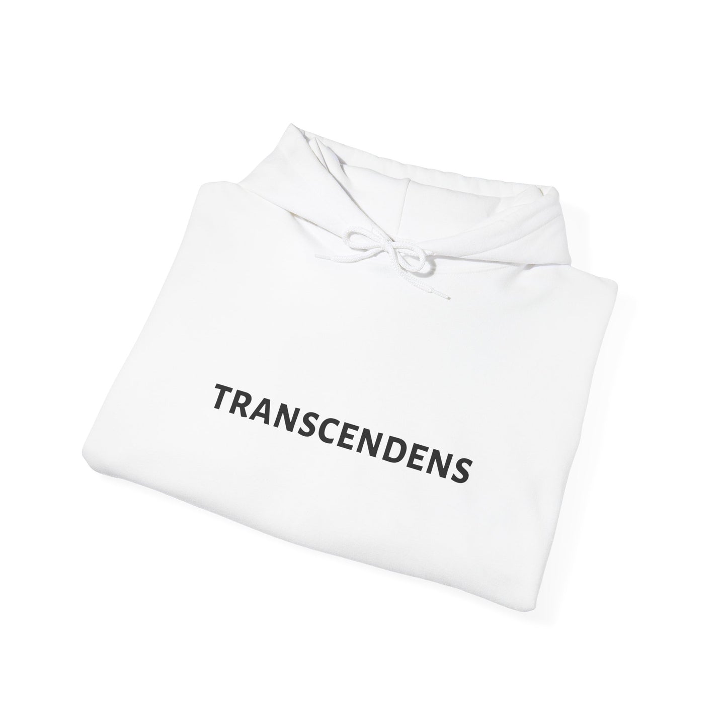 Transcendens Unisex Heavy Blend Hooded Sweatshirt