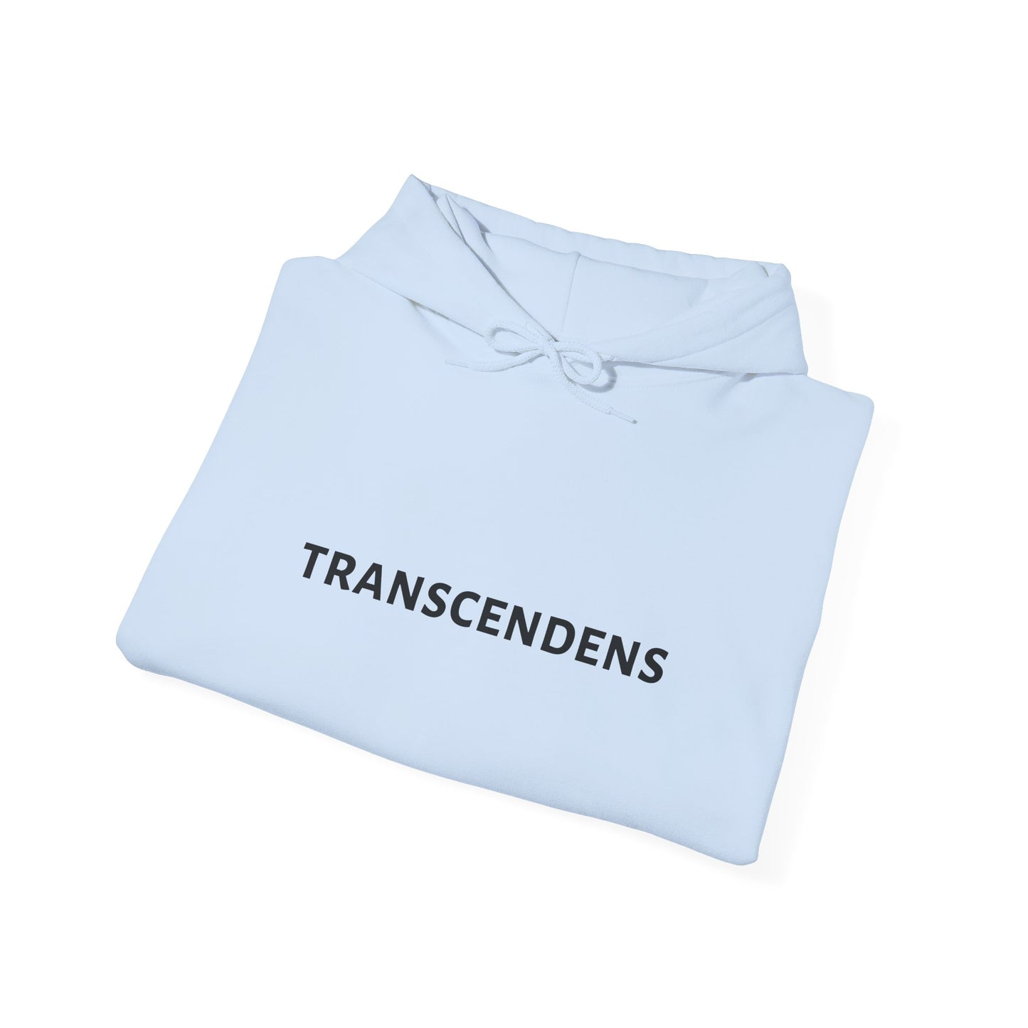 Transcendens Unisex Heavy Blend Hooded Sweatshirt