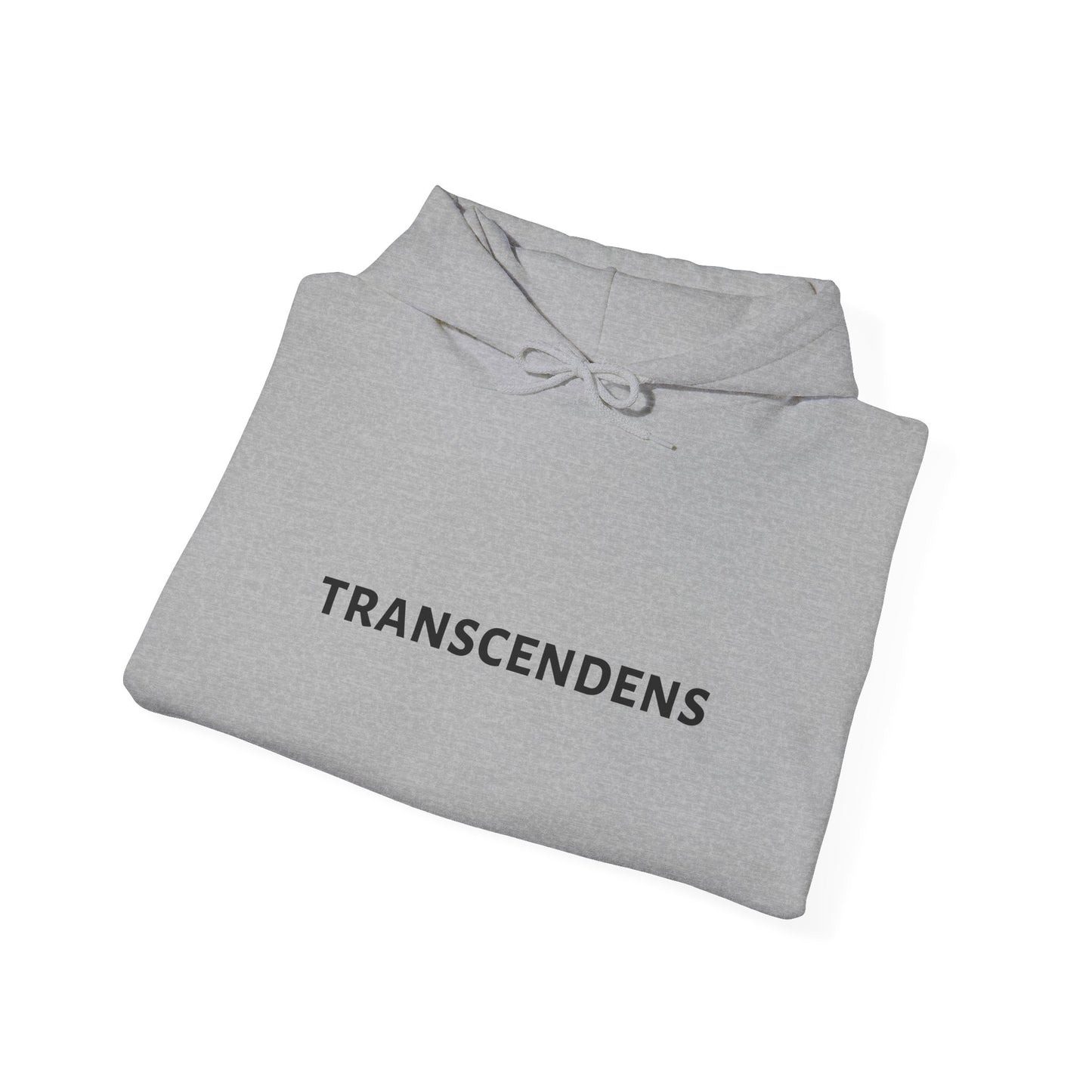 Transcendens Unisex Heavy Blend Hooded Sweatshirt