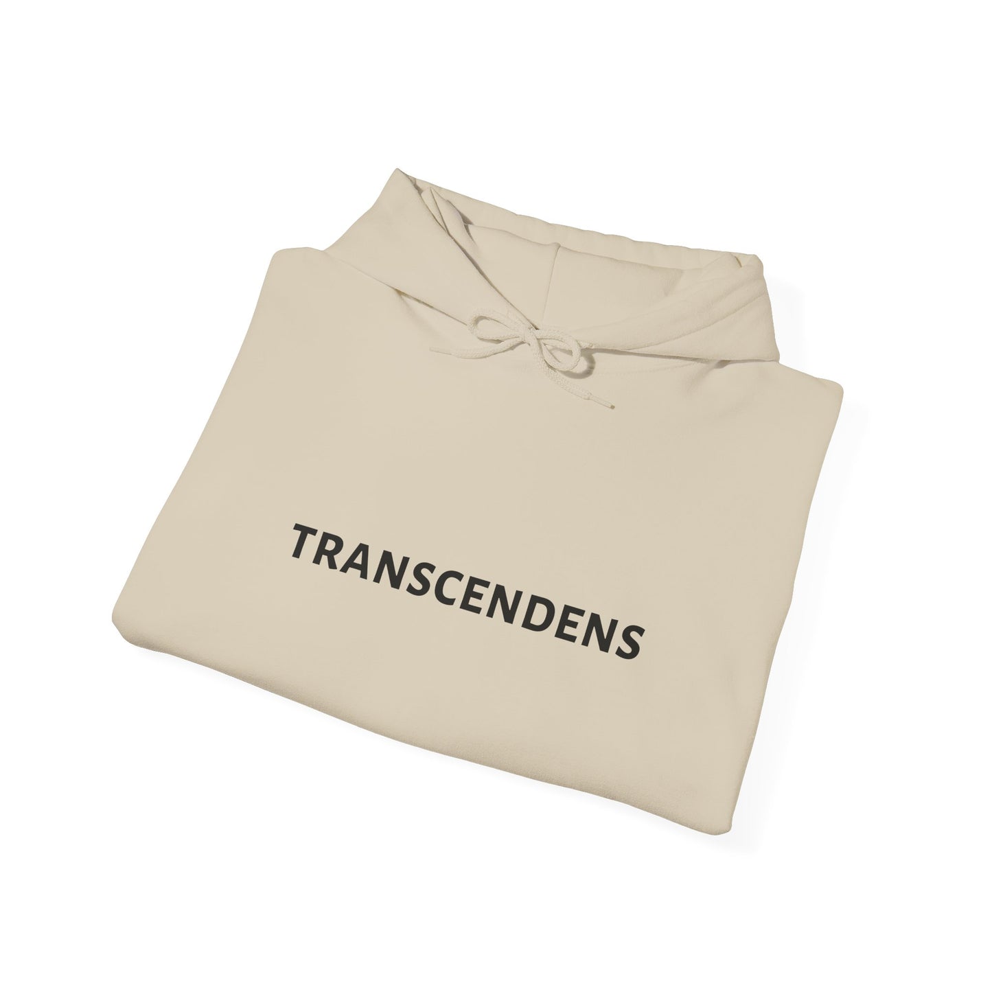 Transcendens Unisex Heavy Blend Hooded Sweatshirt